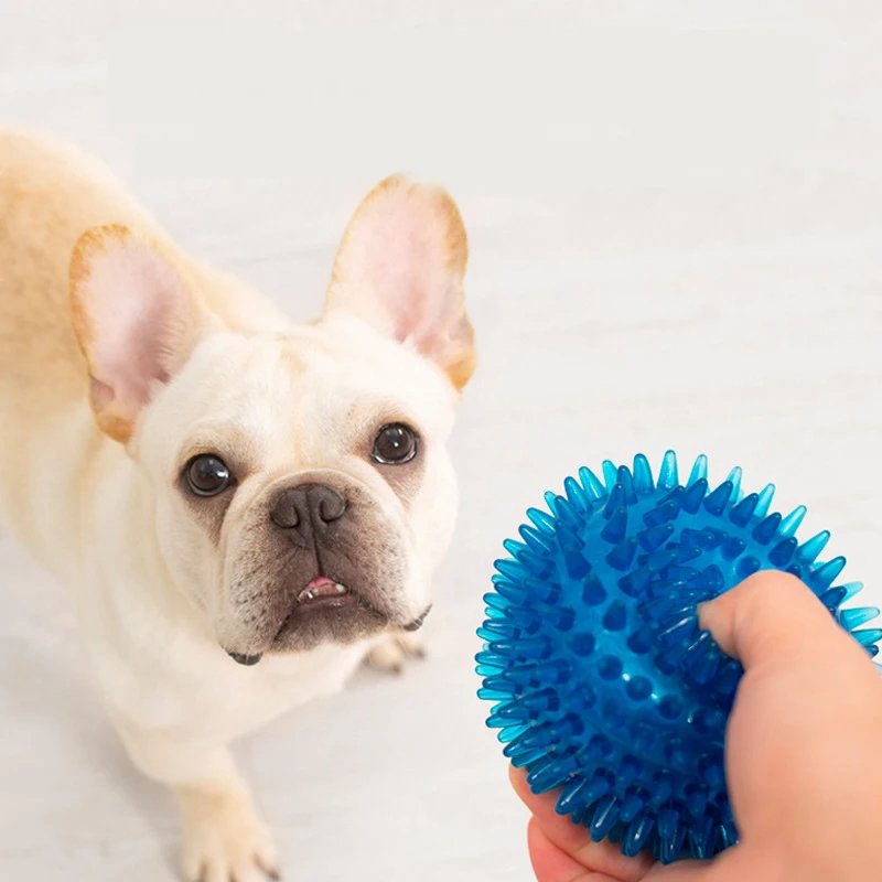 Balle pour Chien - BiteResistantBall™ - Bleu - Mon chien malin