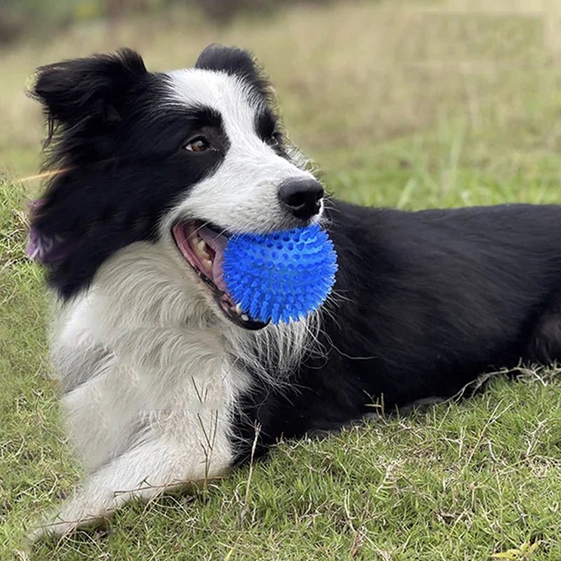 Balle pour Chien - BiteResistantBall™ - Bleu - Mon chien malin