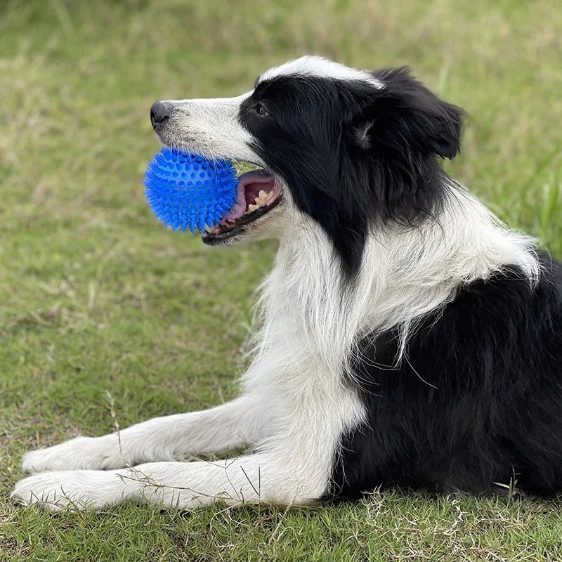 Balle pour Chien - BiteResistantBall™ - Bleu - Mon chien malin