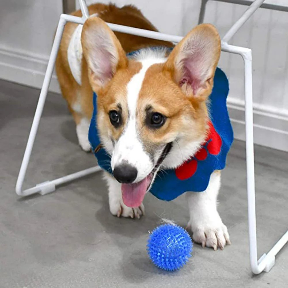 Balle pour Chien - BiteResistantBall™ - Bleu - Mon chien malin