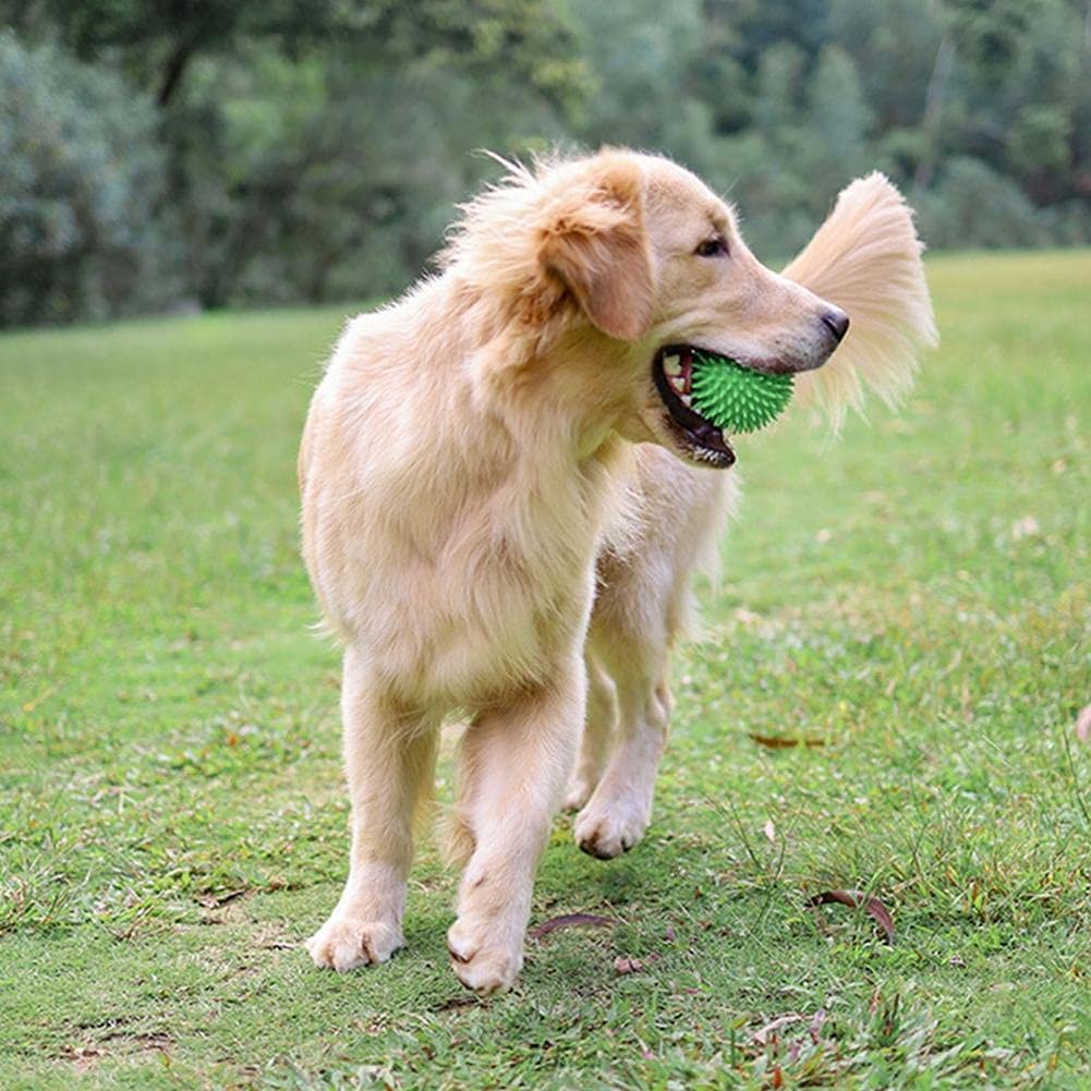 Balle pour Chien - BiteResistantBall™ - Vert - Mon chien malin