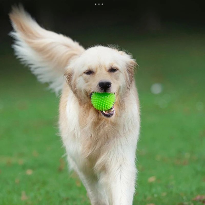 Balle pour Chien - BiteResistantBall™ - Vert - Mon chien malin