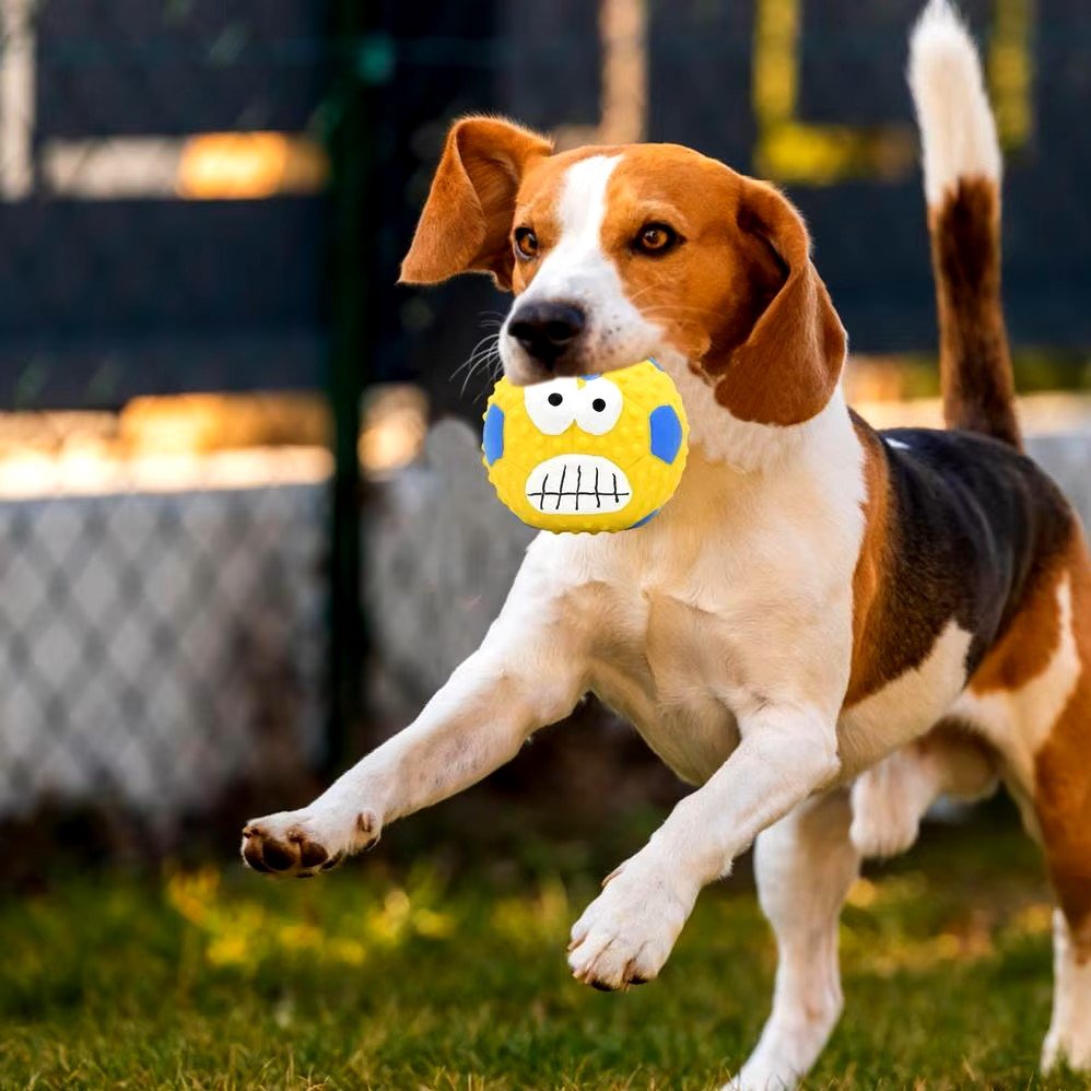 Balle pour Chien - DogBallLatex™ - Baseball Jaune - Mon chien malin