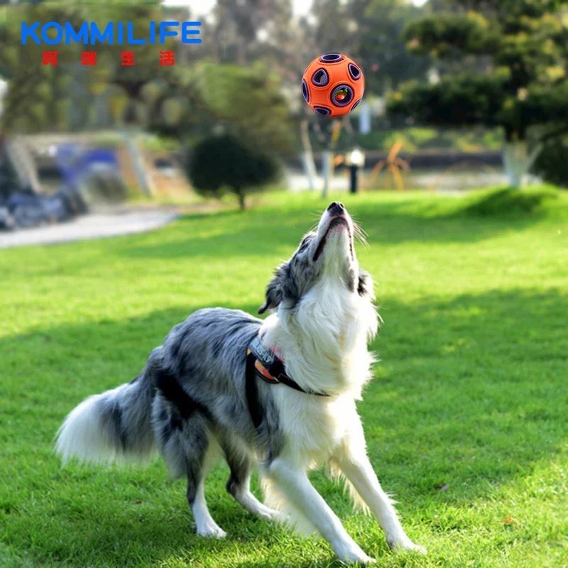 Balle pour chien - DogChewBall™ - Orange - Mon chien malin
