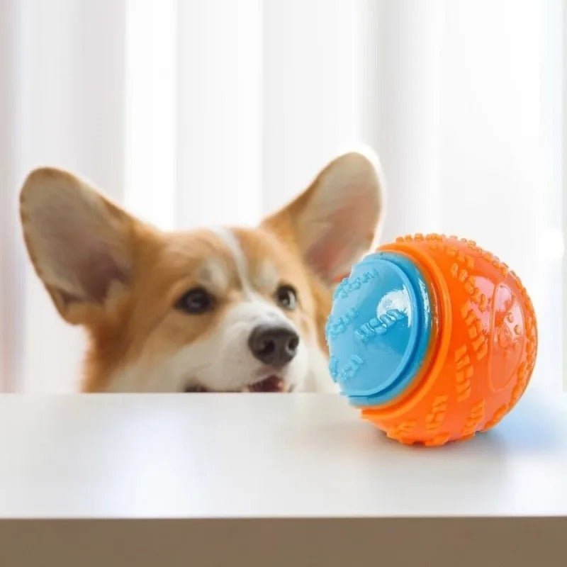 Balle pour Chien - InteractiveToys™ - Bleu - Mon chien malin