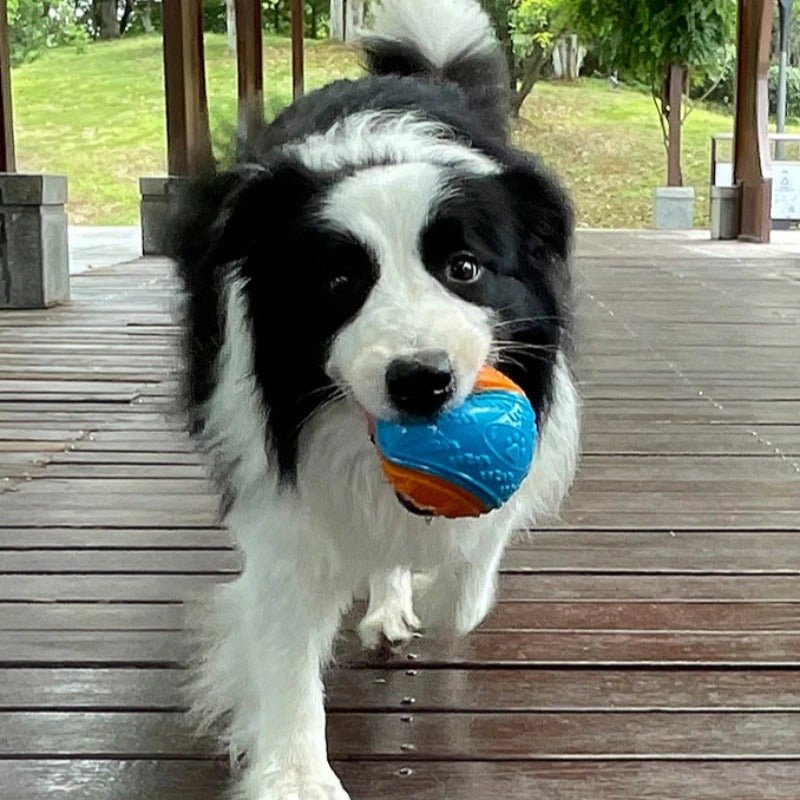 Balle pour Chien - InteractiveToys™ - Bleu - Mon chien malin