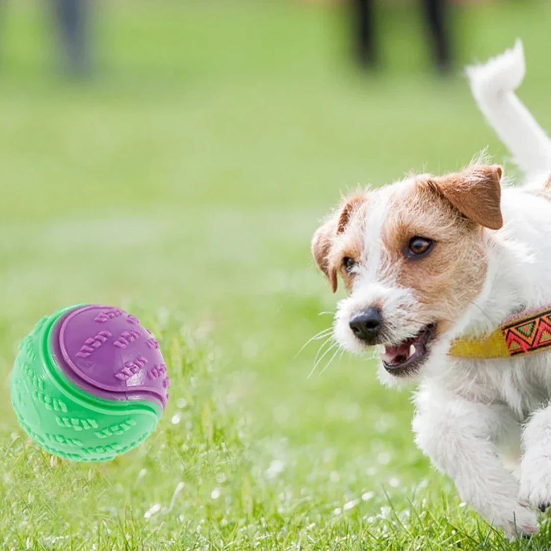Balle pour Chien - InteractiveToys™ - Violet - Mon chien malin