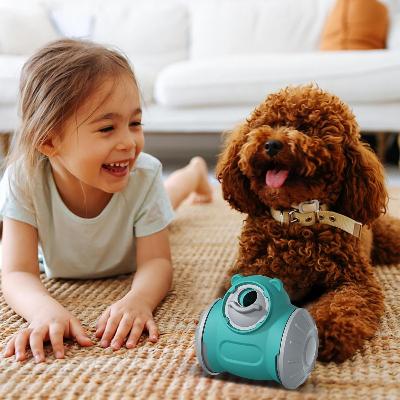Distributeur de Croquettes pour Chien - BrainChase™ - Turquoise - Mon chien malin