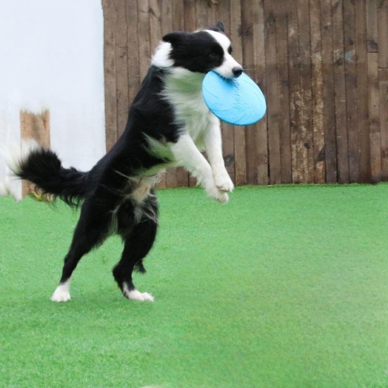 Frisbee Chien - FlyingDiscToys™ - Bleu - Mon chien malin