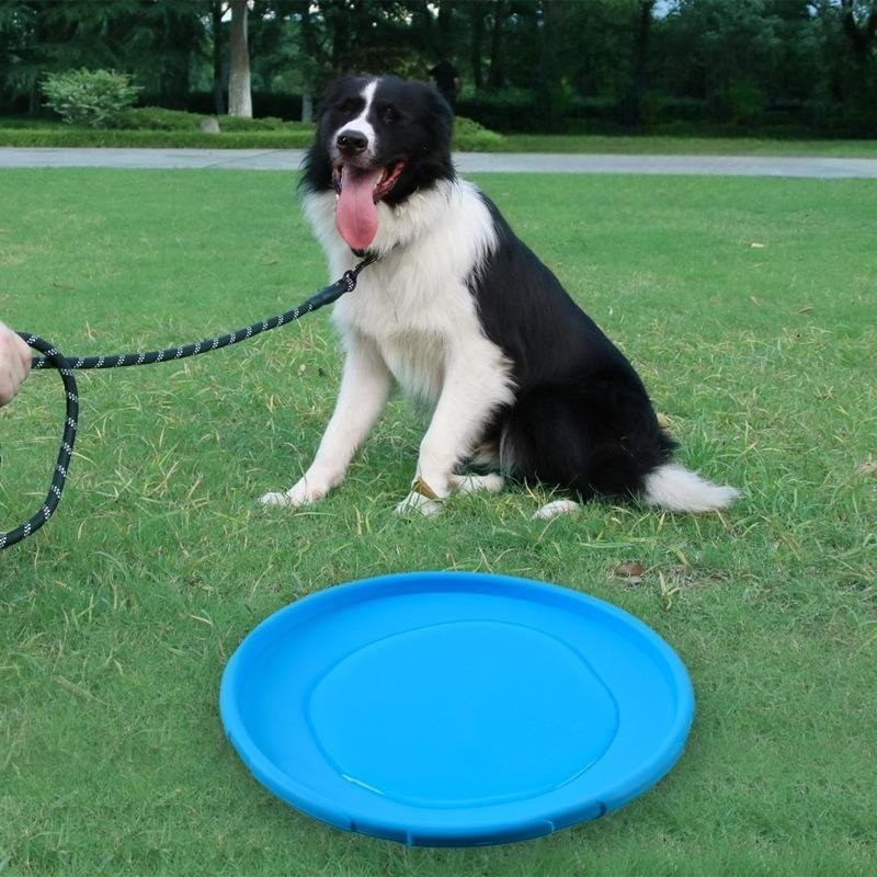 Frisbee Chien - FlyingDiscToys™ - Bleu - Mon chien malin