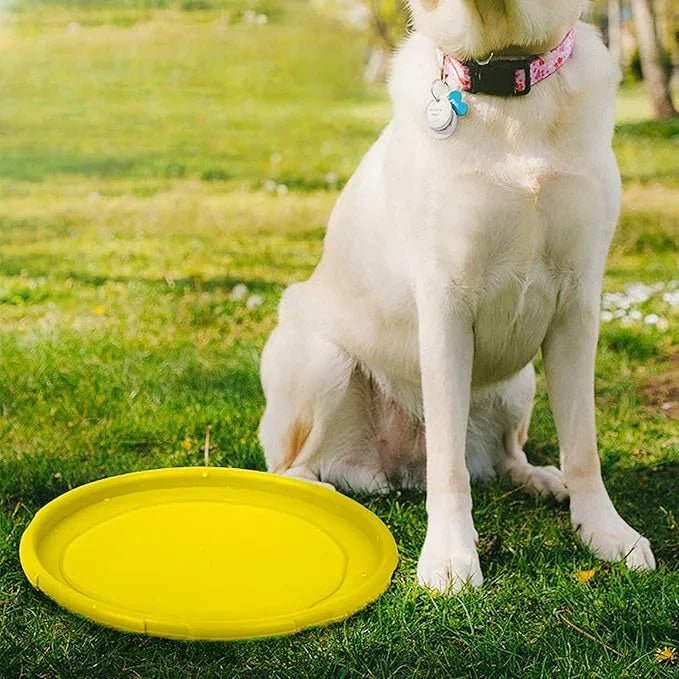 Frisbee Chien - FlyingDiscToys™ - Jaune - Mon chien malin