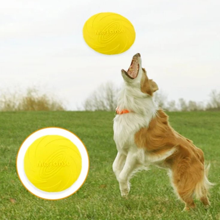 Frisbee Chien - FlyingDiscToys™ - Jaune - Mon chien malin