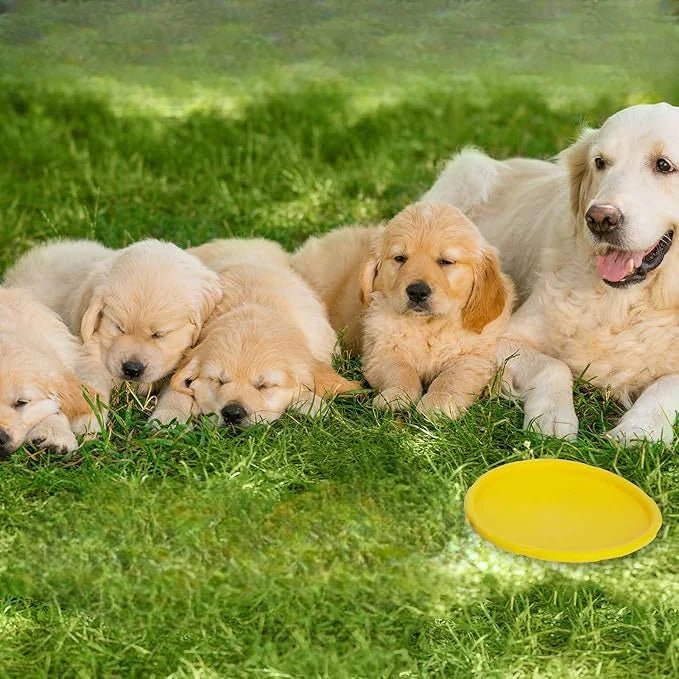 Frisbee Chien - FlyingDiscToys™ - Jaune - Mon chien malin