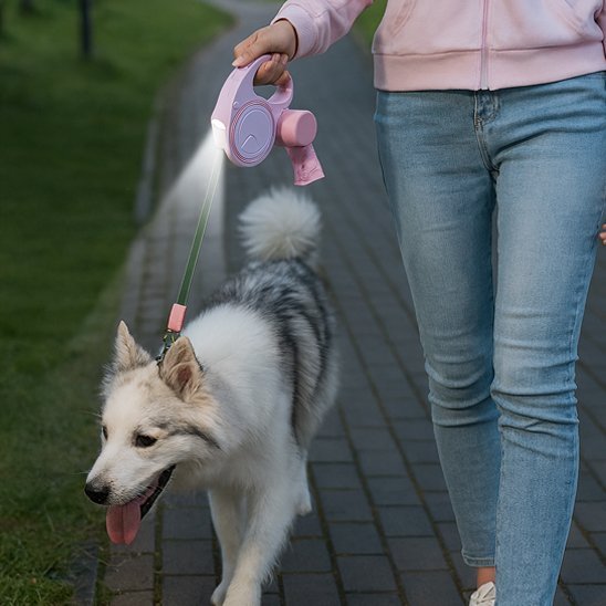 Laisse pour Chien LED Rétractable | NightWalk - Mon chien malin