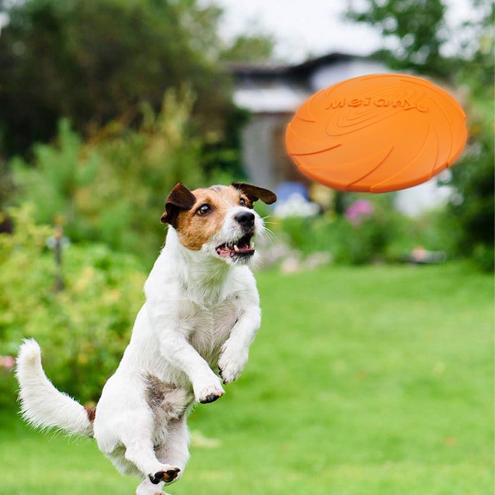 Frisbee Chien - FlyingDiscToys™ - Orange - Mon chien malin