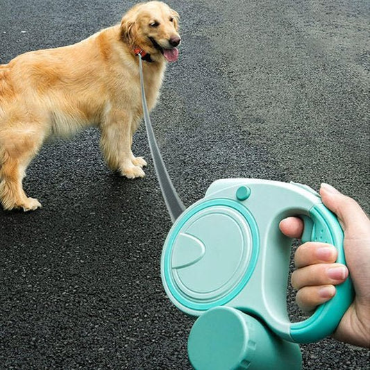 Laisse pour Chien LED Rétractable | NightWalk - Mon chien malin